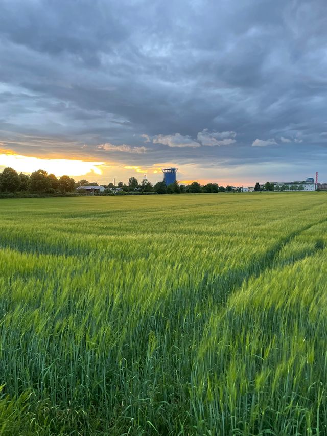 Besichtigung des Heidelberger Energie- und Zukunftsspeichers im Pfaffengrund