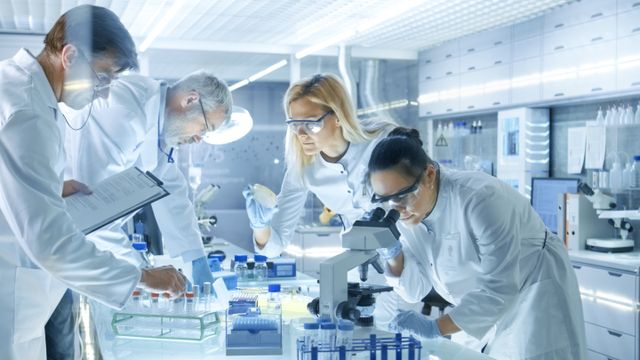 Heidelberg punktet dreifach bei Exzellenzstrategie